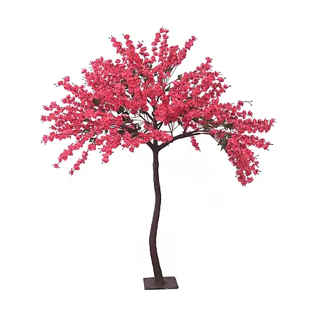 images/uploads/22214/thumb_22011 web.webp